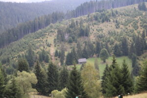 Workshop: Dezvoltarea durabilă a spațiului rural. Priorități și perspective