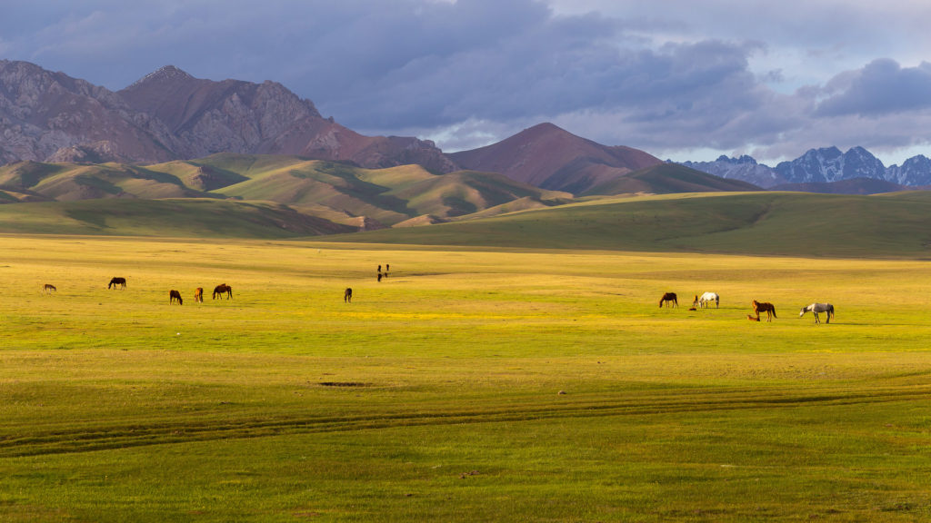 https://report.territoriesoflife.org/national-and-regional-analysis/west-central-asia/grasslands-mountains/